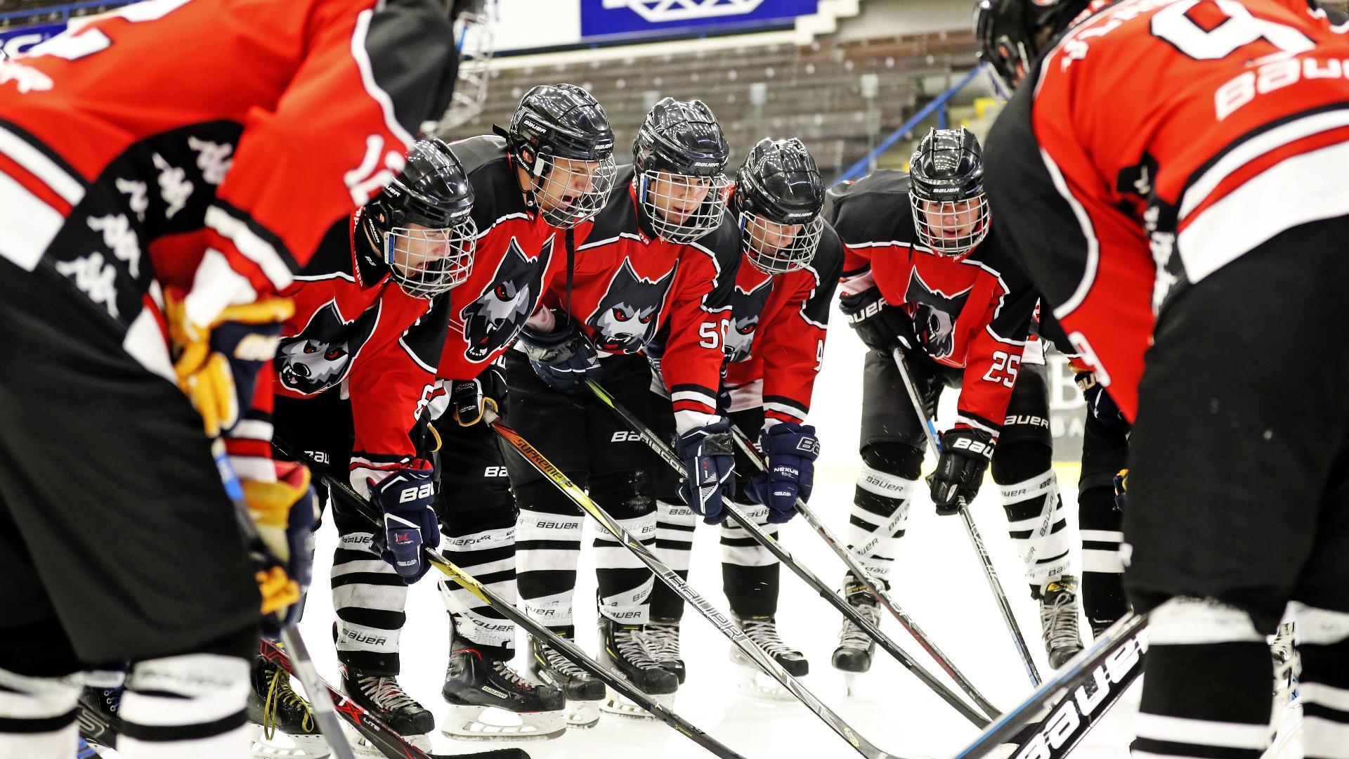 ძლიერი დარტყმა  ქართულად -  The Pack