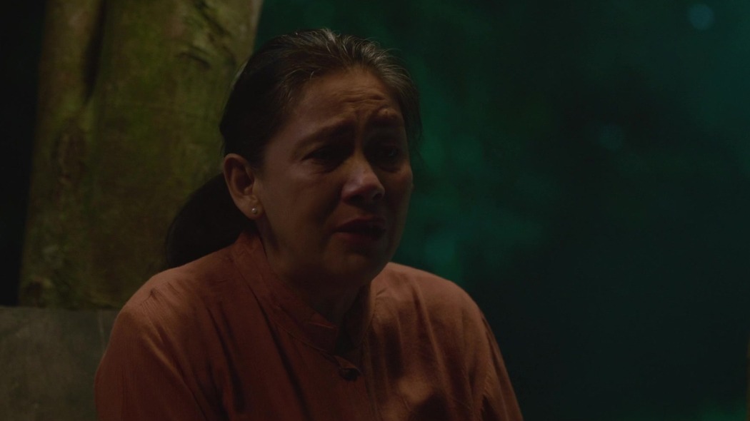 შეუღწეველი  ქართულად -  The Womb