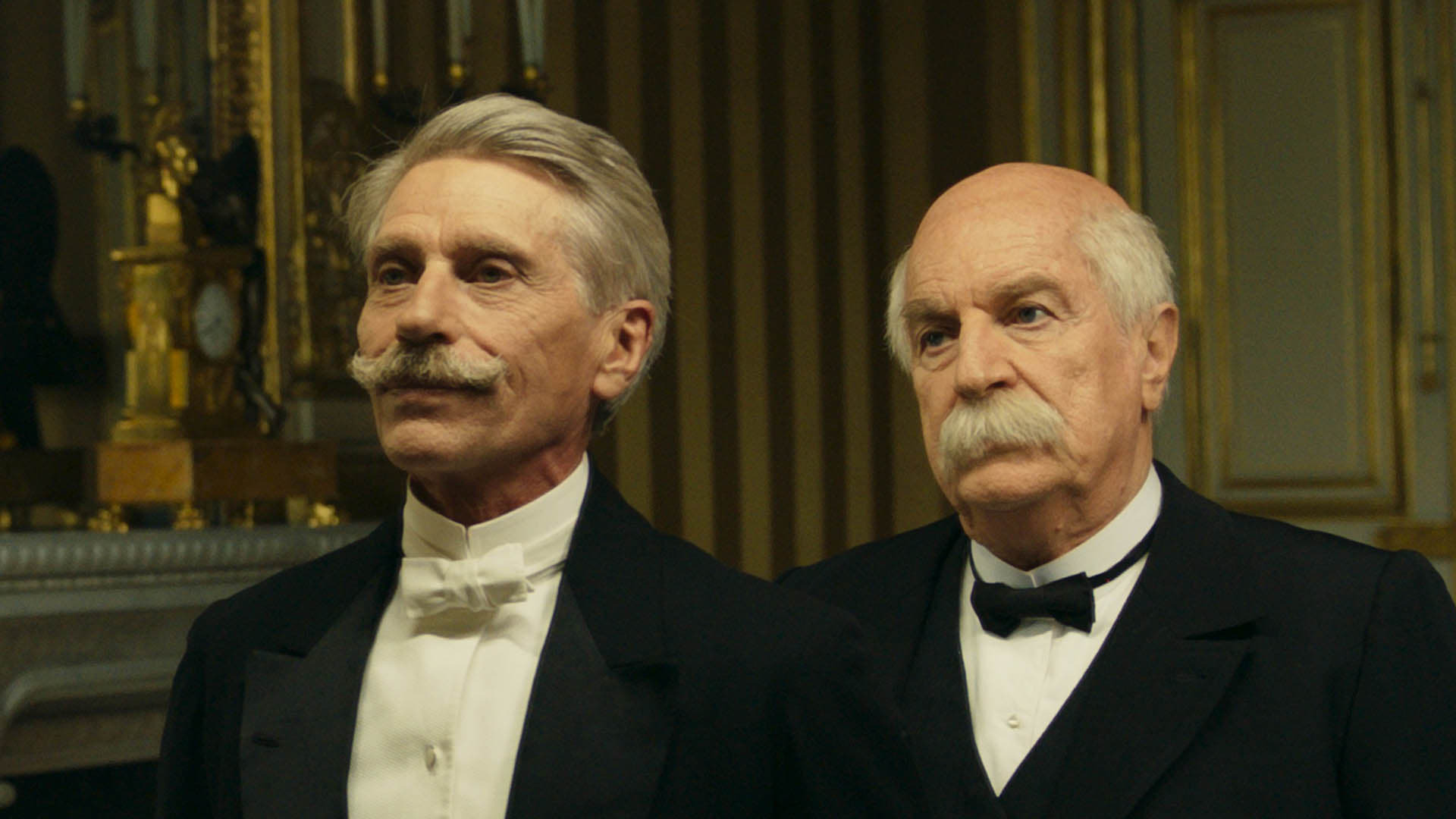 ვეფხვი და პრეზიდენტი  ქართულად -  Le Tigre et le président