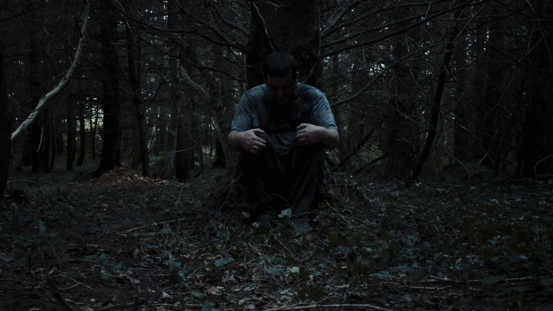 შიშის გამოვლენა  ქართულად -  Bring Out the Fear