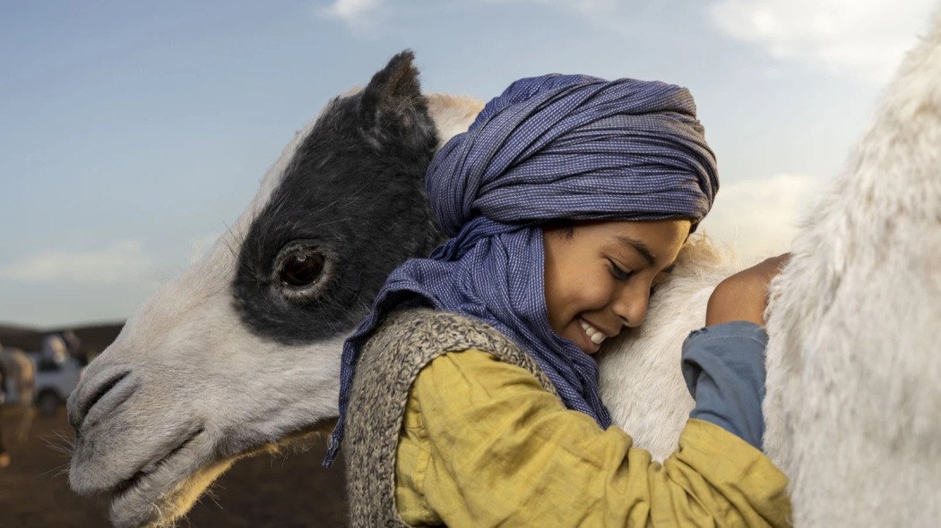 უდაბნოს პრინცი  ქართულად -  Zodi amp Tehu, frères du désert