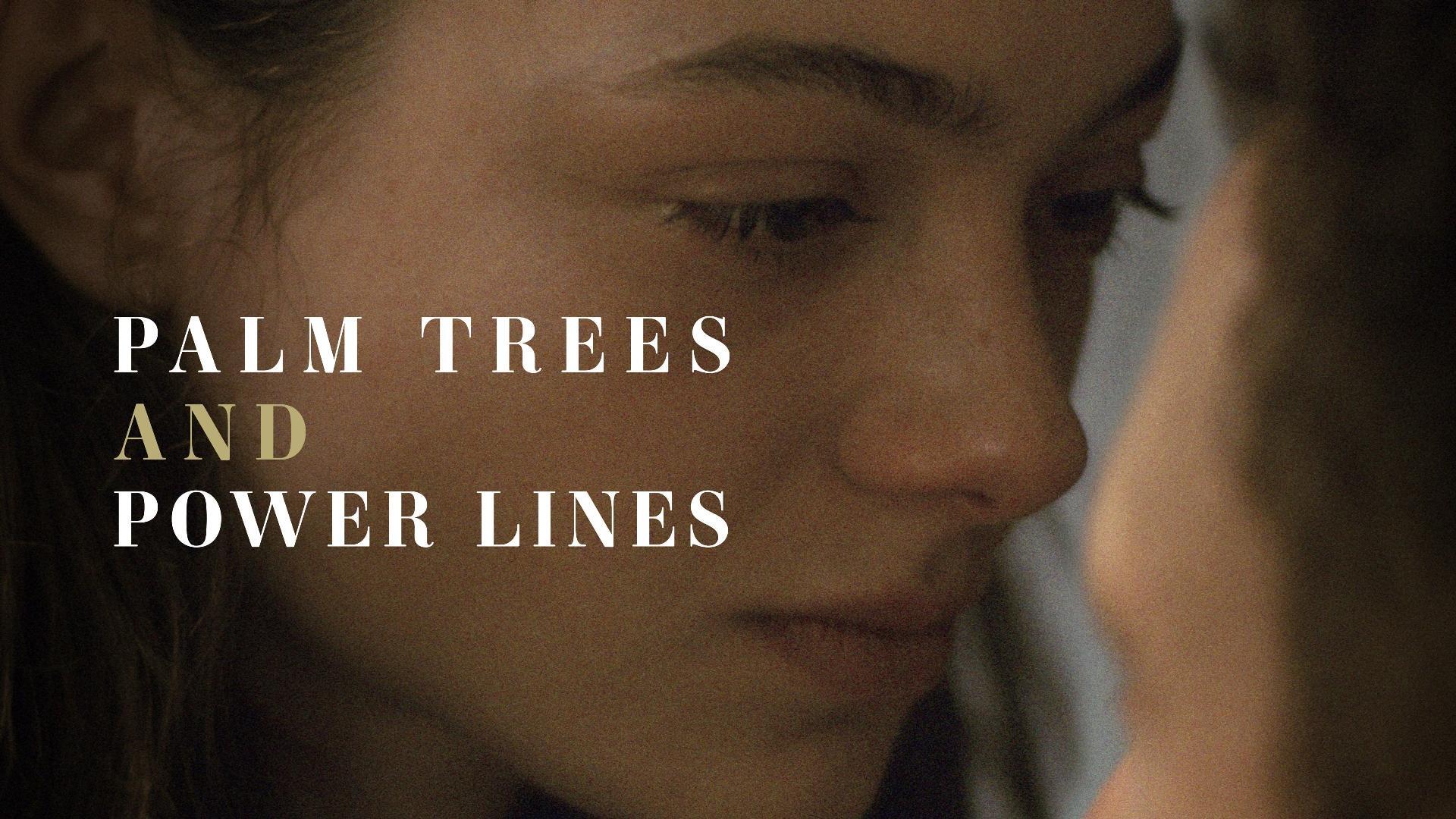 პალმები და ელექტროგადამცემი ხაზები  ქართულად -  Palm Trees and Power Lines