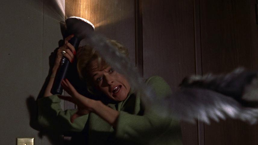 ჩიტები  ქართულად -  The Birds