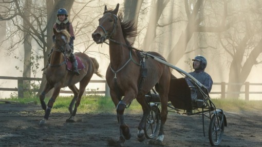 ქარიშხალი  ქართულად -  Tempête