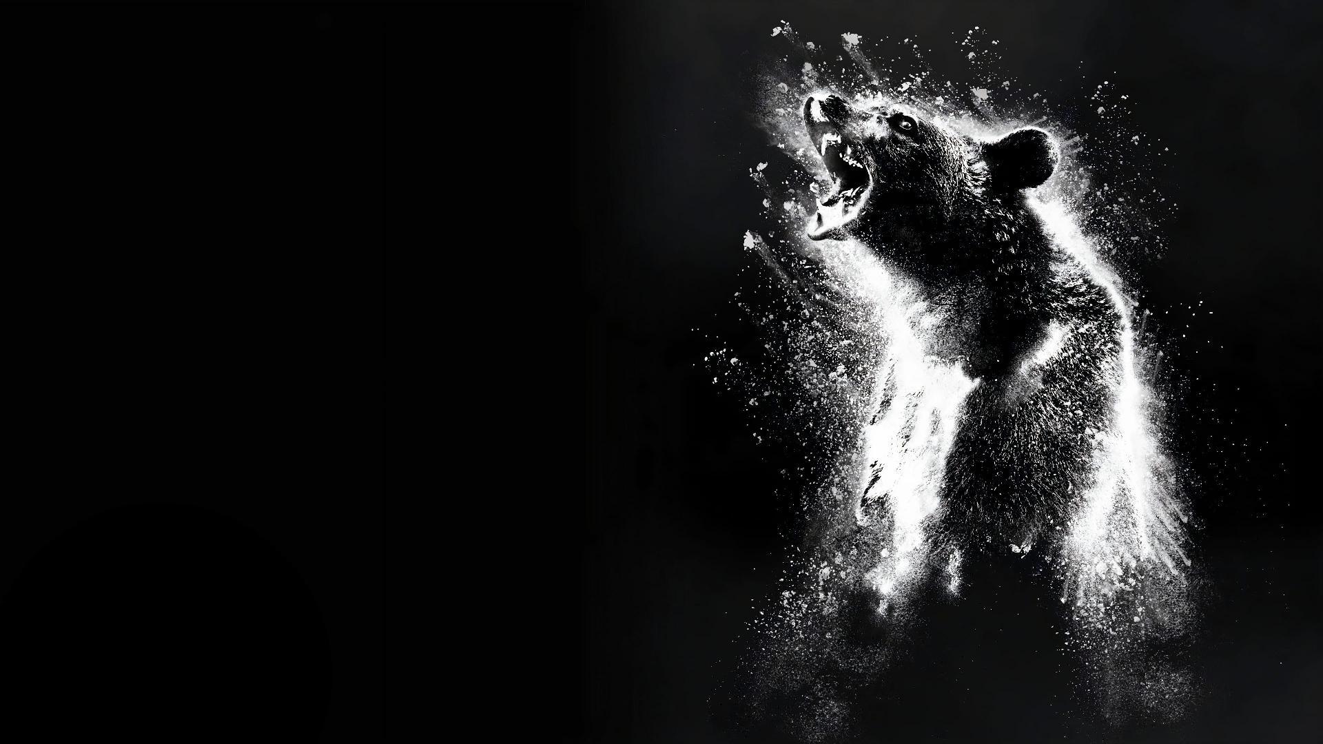 კოკაინის დათვი  ქართულად -  Cocaine Bear