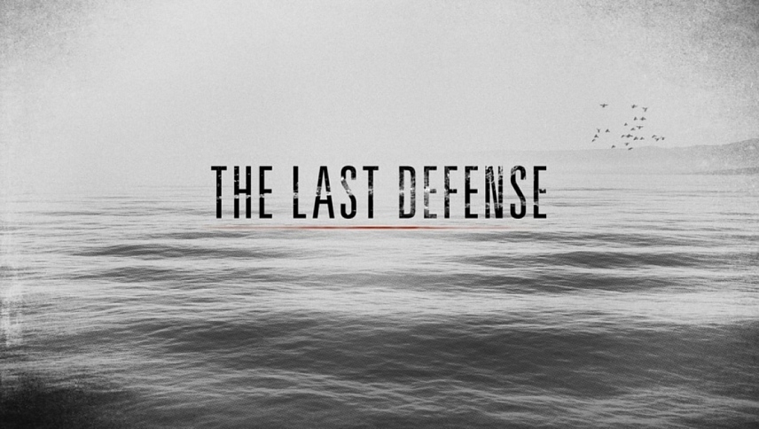 უკანასკნელი დაცვა  ქართულად -  The Last Defense