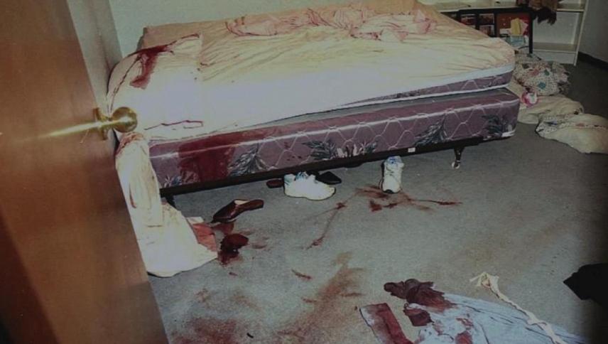 აღიარება  ქართულად -  The Confession Tapes