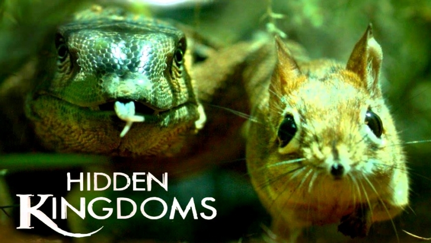 დამალული სამყაროები  ქართულად -  Hidden Kingdoms