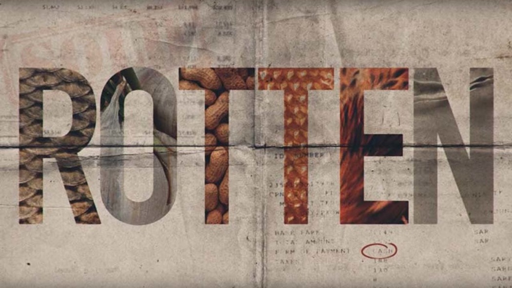 უვარგისი პროდუქტები  ქართულად -  Rotten