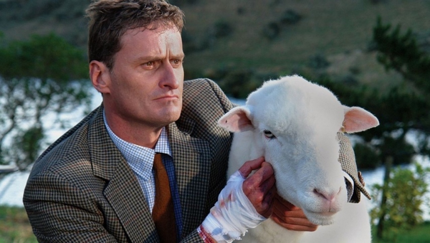 შავი ცხვარი  ქართულად -  Black Sheep