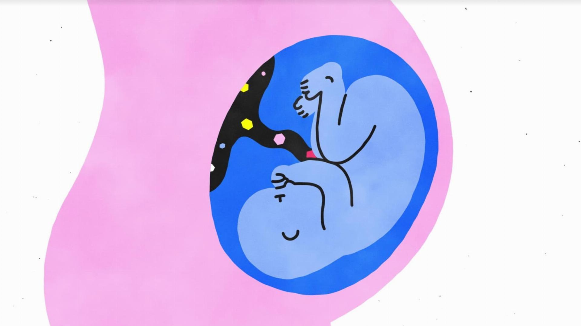 Sex, Explained  ქართულად -  Чтобы вы поняли... секс