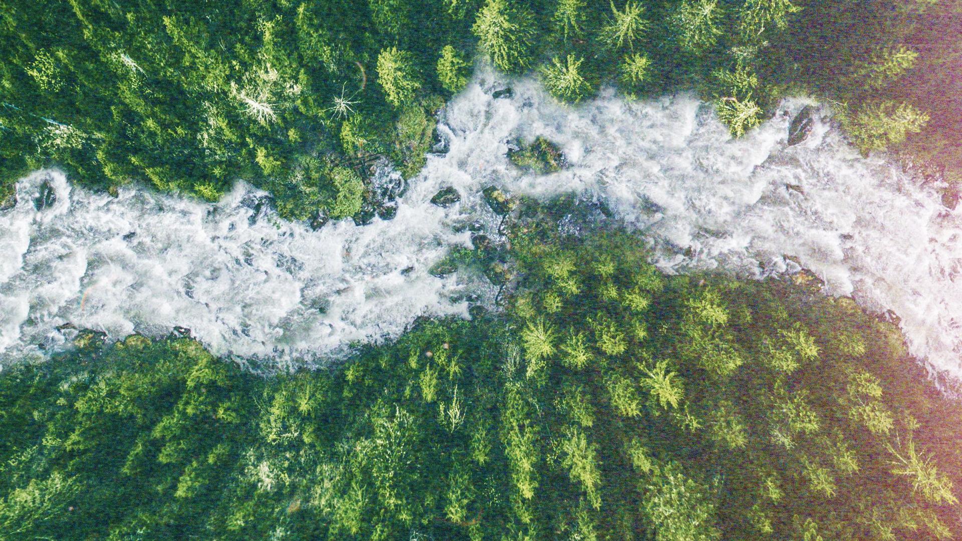 არ დაბრუნების მდინარე  ქართულად -  River of No Return