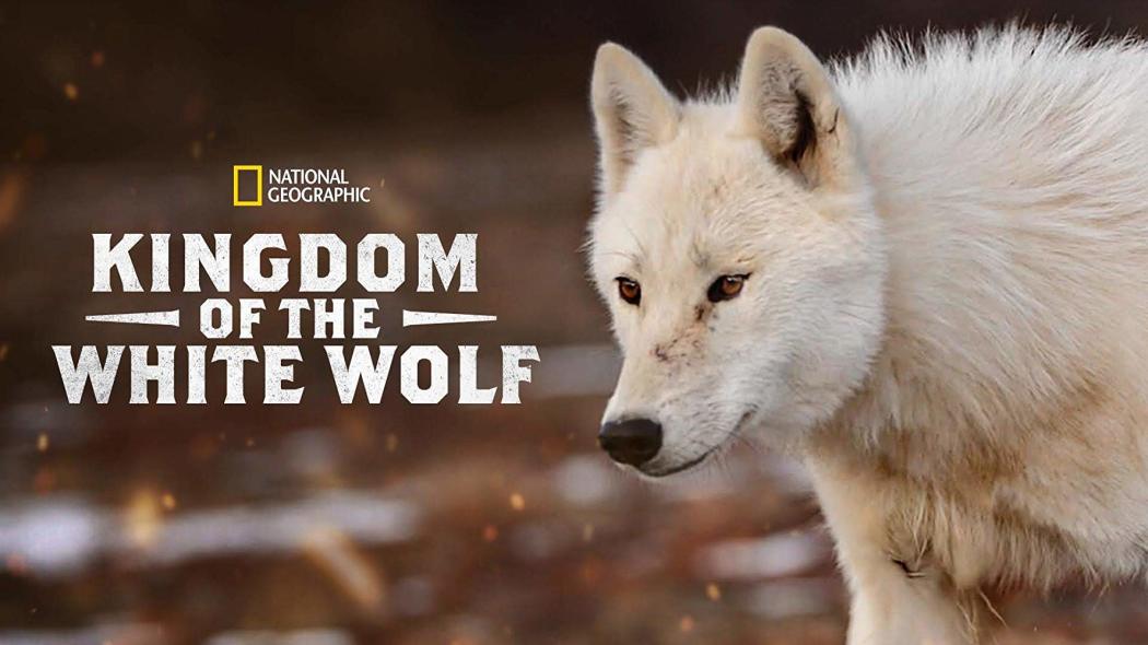 Kingdom of the White Wolf