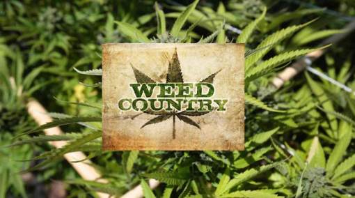 Weed Country