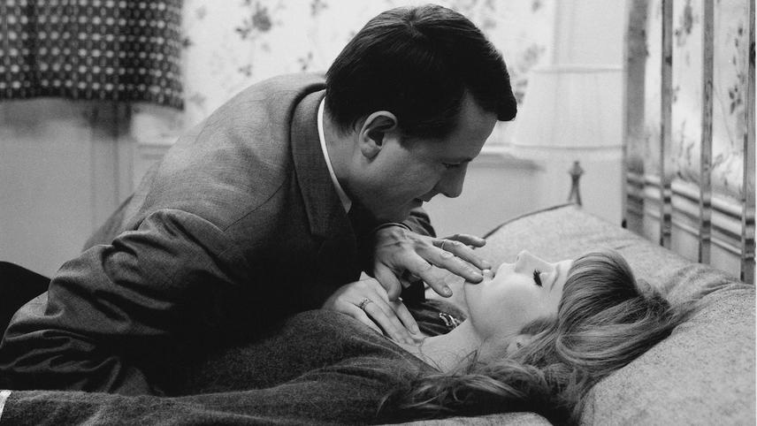 ნაზი კანი  ქართულად -  The Soft Skin