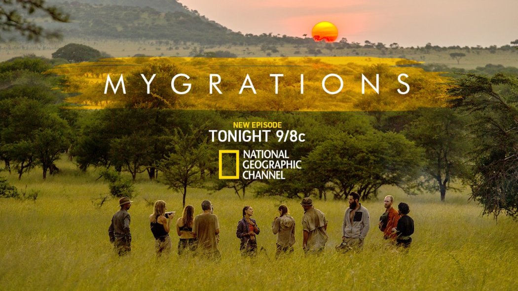 მიგრაციები  ქართულად -  Mygrations