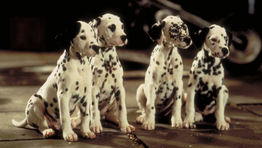101 დალმატინელი  ქართულად -  101 Dalmatians