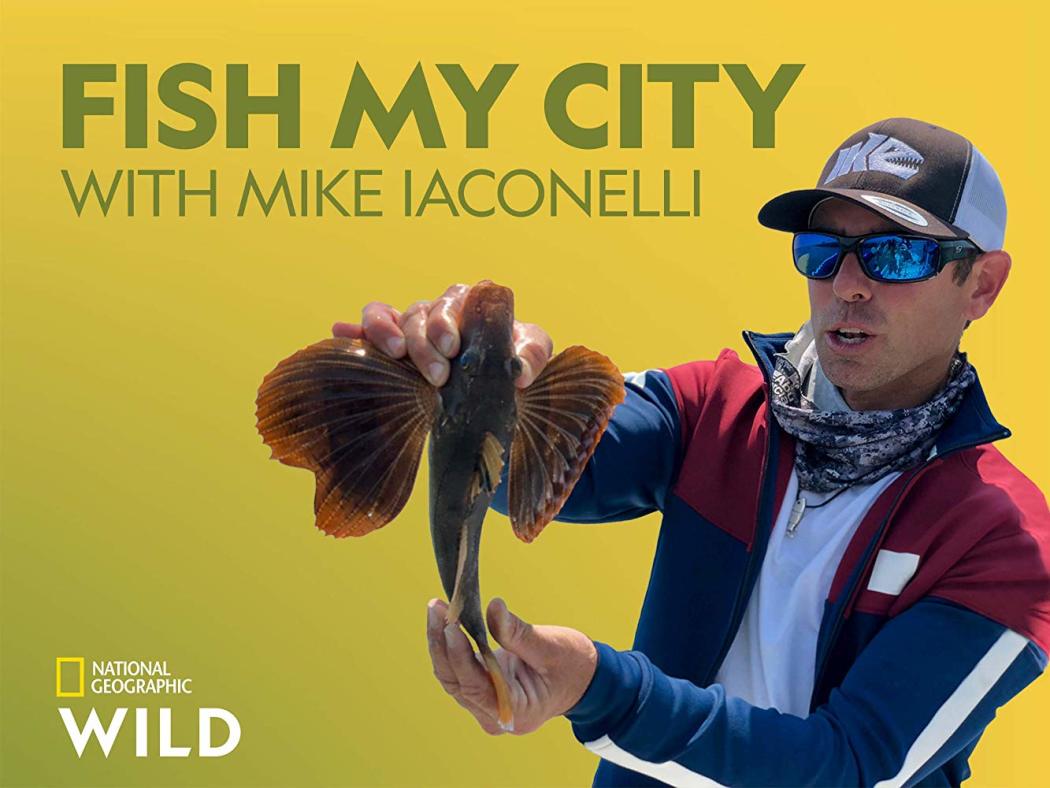 Fish My City