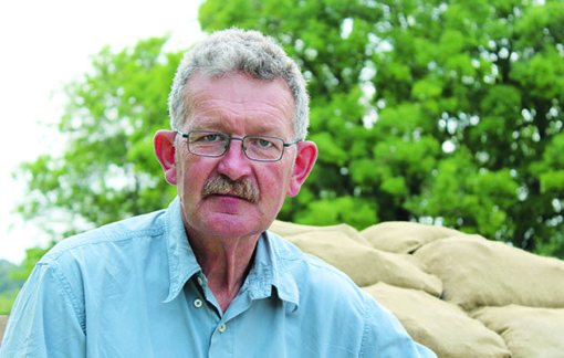 დიადი ომი ციფრებში  ქართულად -  The Great War in Numbers