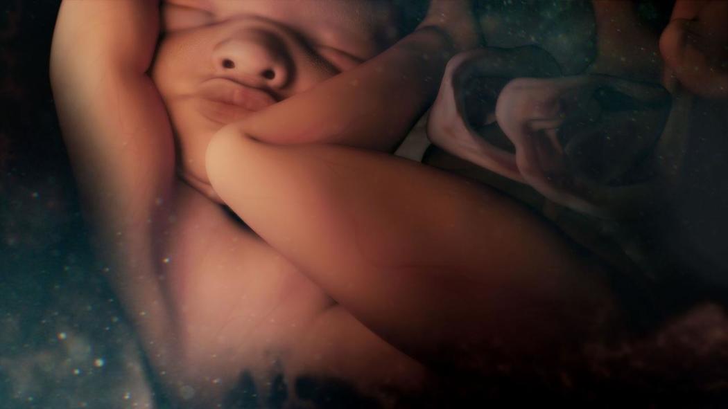 9 თვე, რომელშიც შეიქმენი  ქართულად -  9 Months That Made You