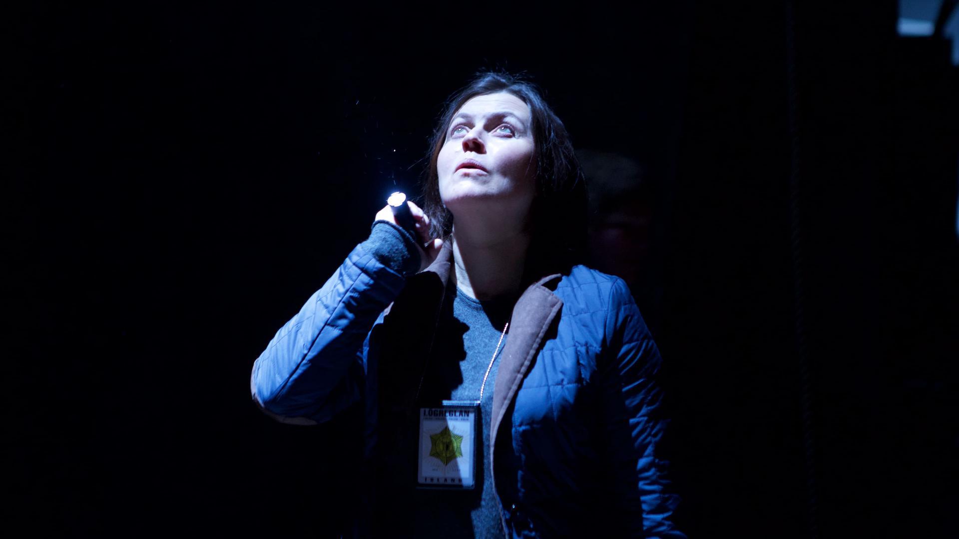 საქმე  ქართულად -  Case