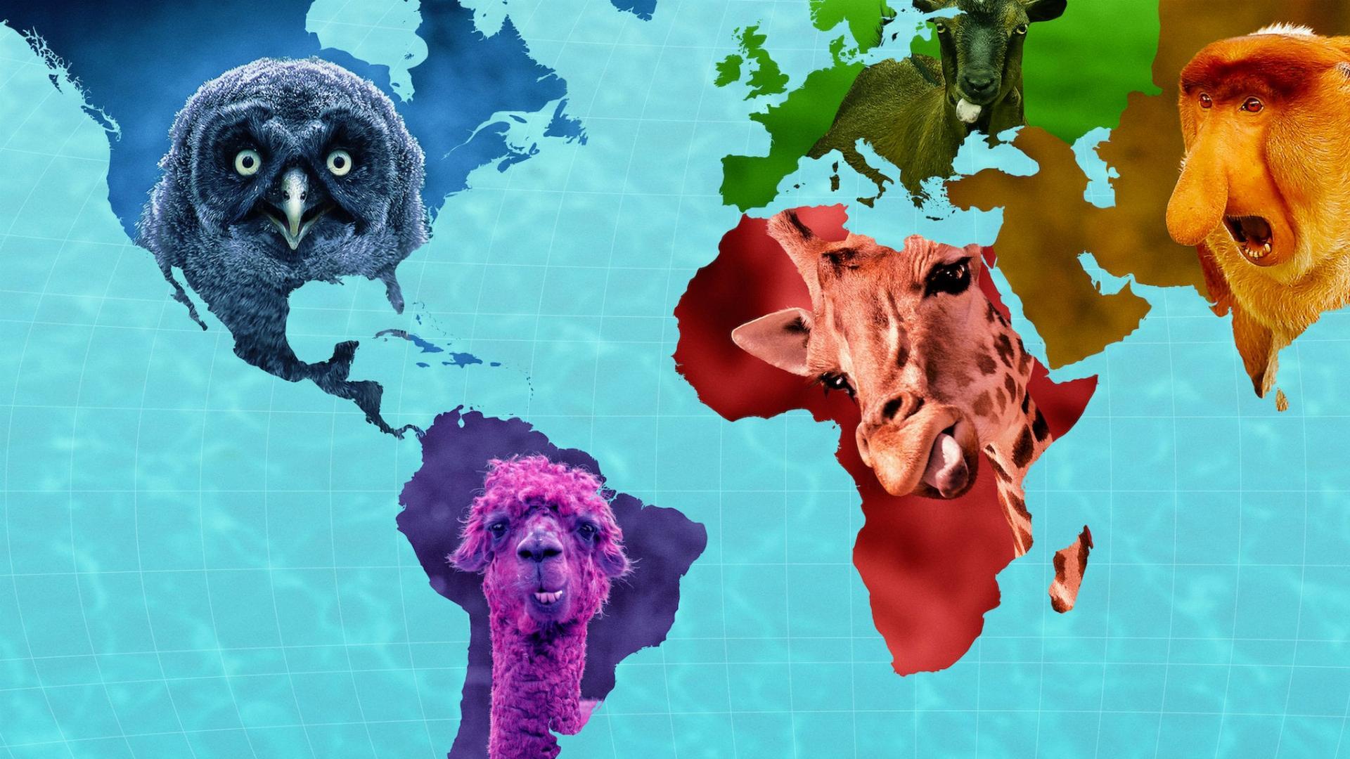 Absurd Planet  ქართულად -  Абсурдная планета