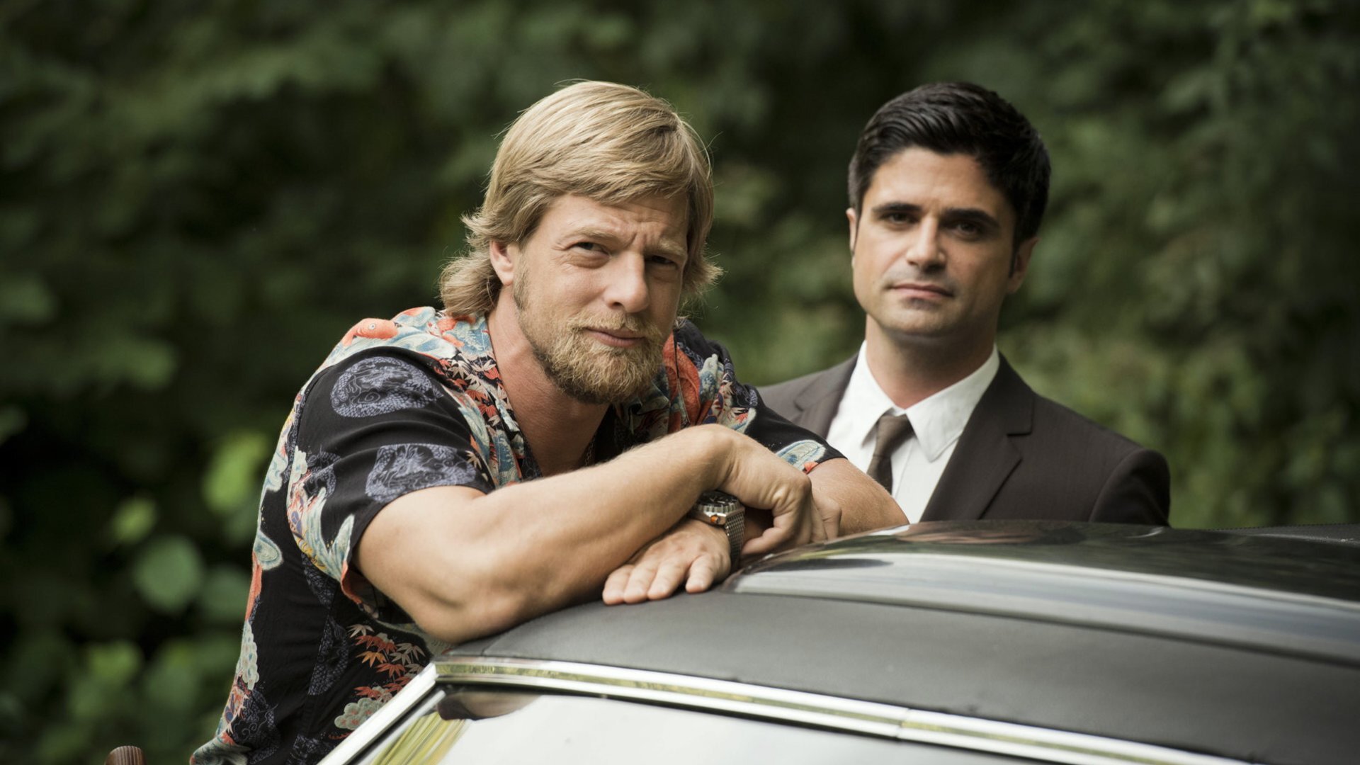 უკანასკნელი ხარი  ქართულად -  Der letzte Bulle