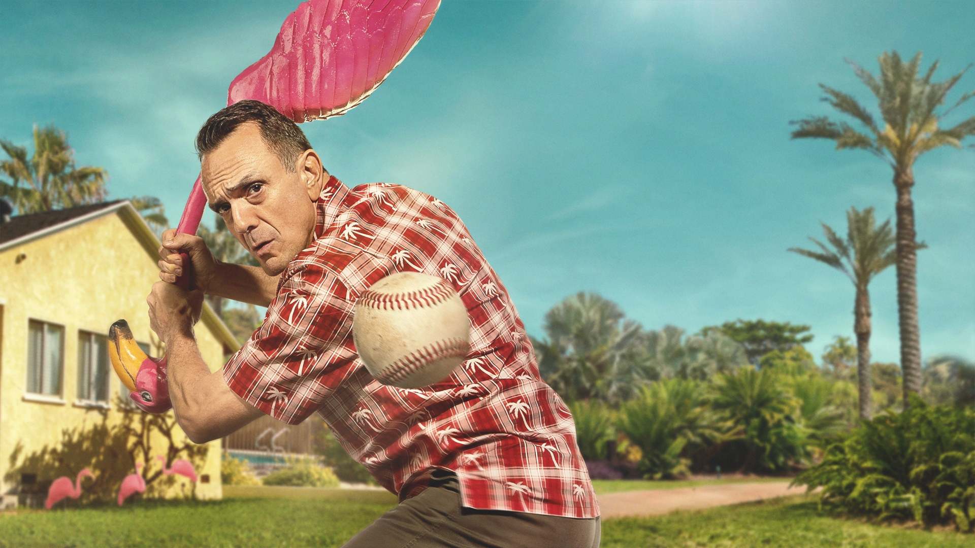 ბრუკმაირი  ქართულად -  Brockmire