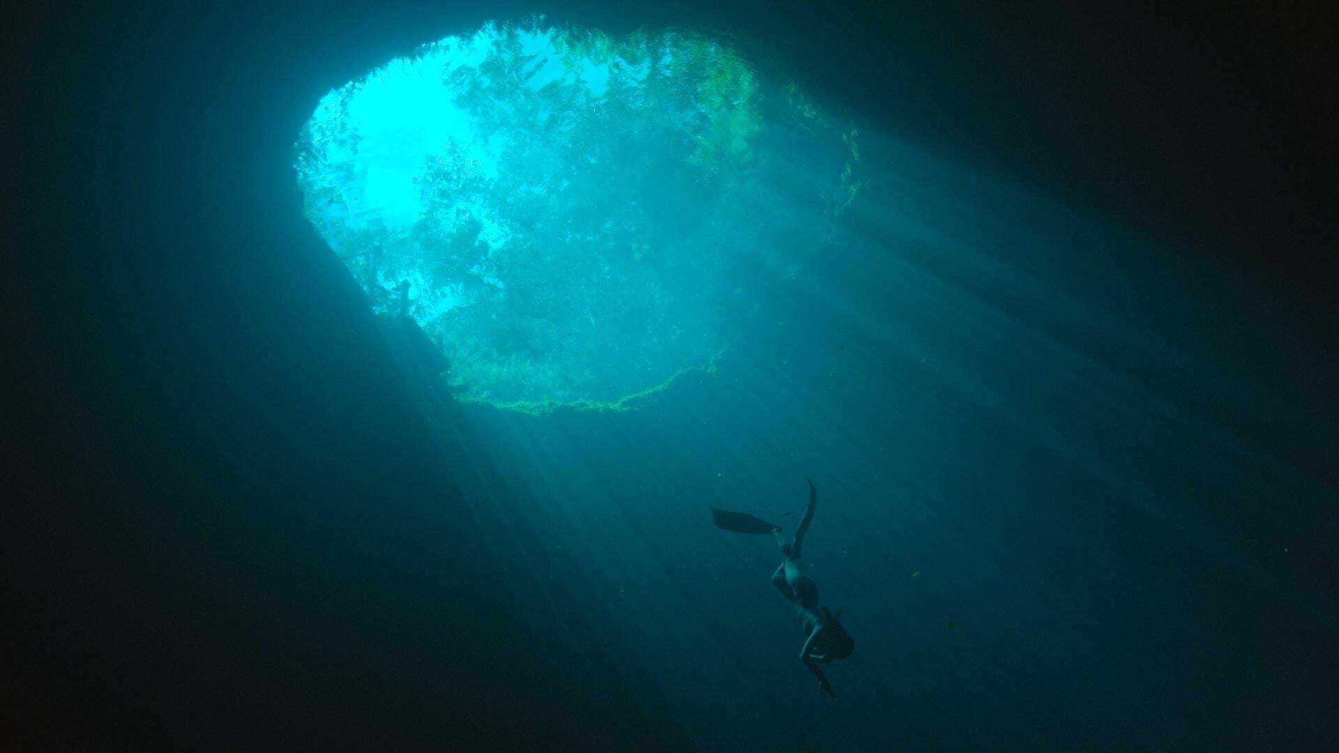 H2O: The Molecule That Made Us