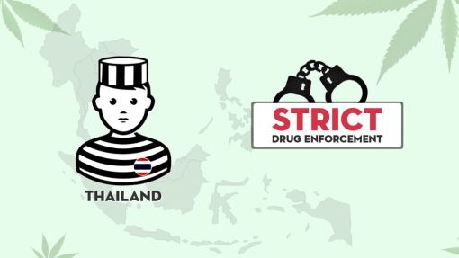 Highland: Thailands Marijuana Awakening