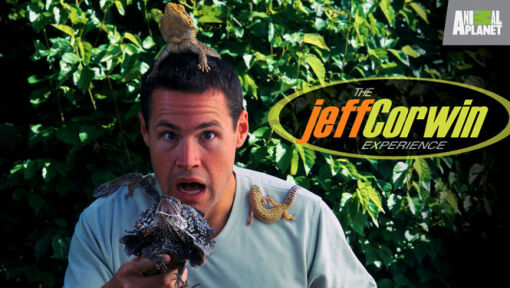 The Jeff Corwin Experience