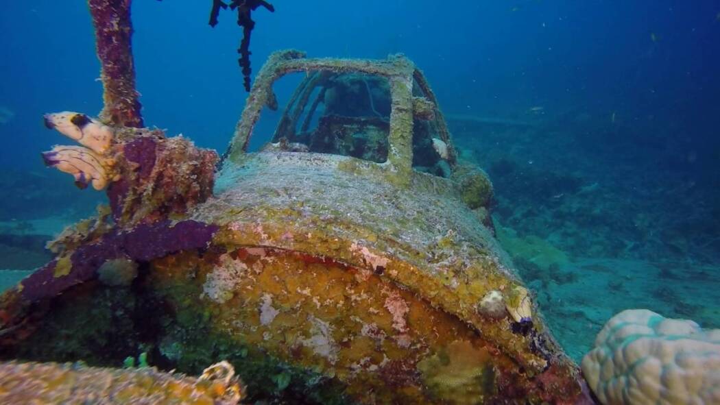 Reef Wrecks