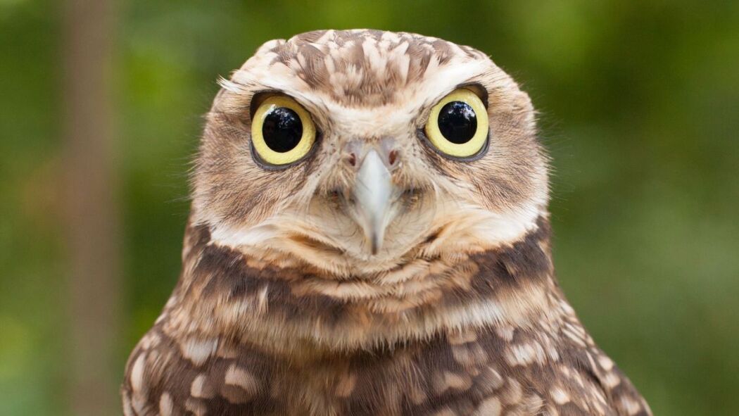 Natural Born Hustlers