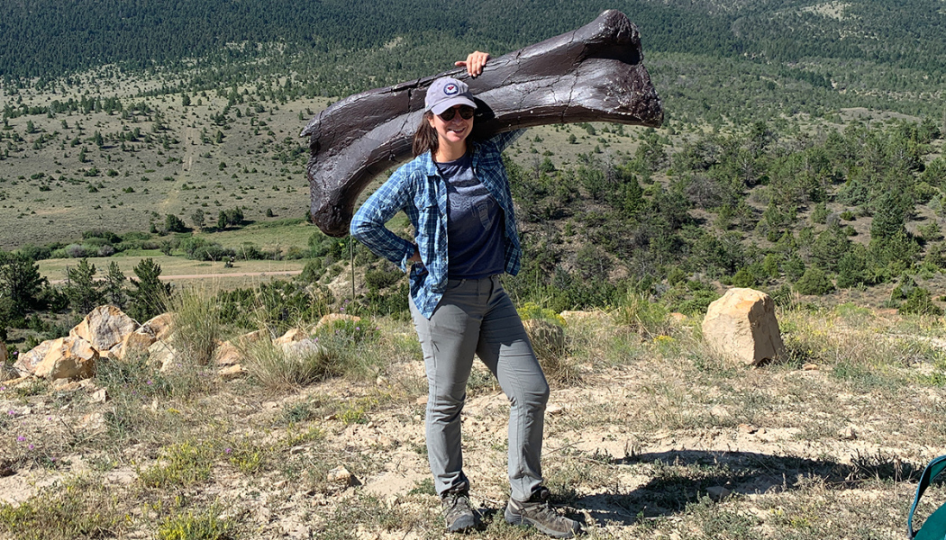 Prehistoric Road Trip