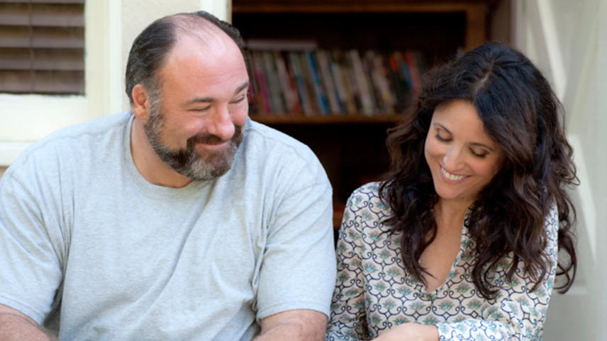 საკმარისია სიტყვები  ქართულად -  Enough Said