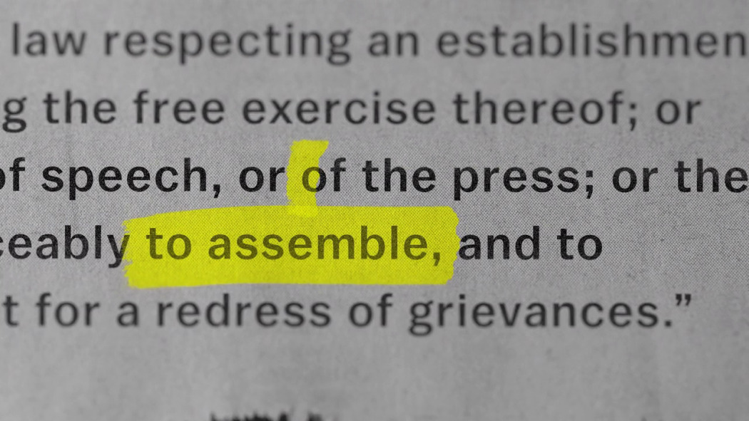 Whose Vote Counts, Explained