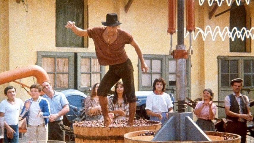 ჭირვეულის მორჯულება  ქართულად -  The Taming of the Scoundrel