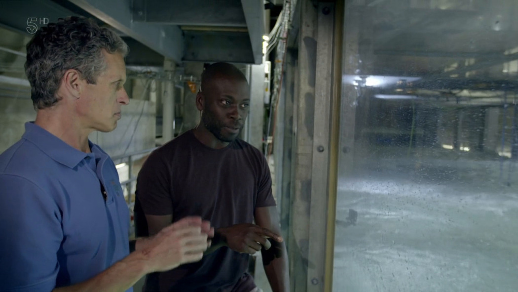 Secrets of the Bermuda Triangle