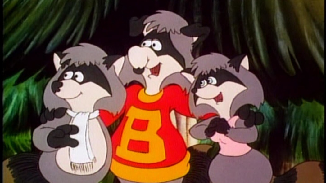 The Raccoons