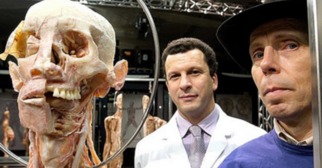 ანატომია დამწყებებისთვის  ქართულად -  Anatomy for Beginners