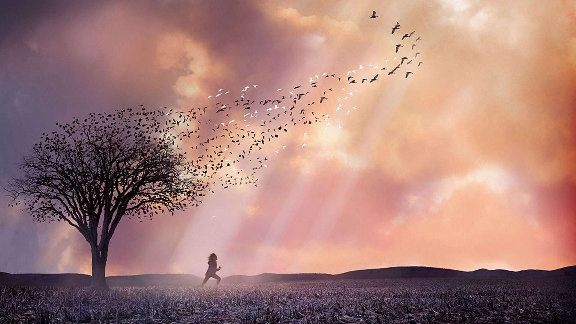 საყვარელი ძვლები  ქართულად -  The Lovely Bones