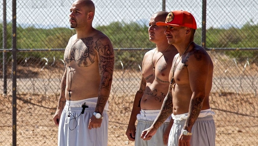 მაფიის კოდექსი: ახლო ხედი  ქართულად -  Inside the Gangsters Code