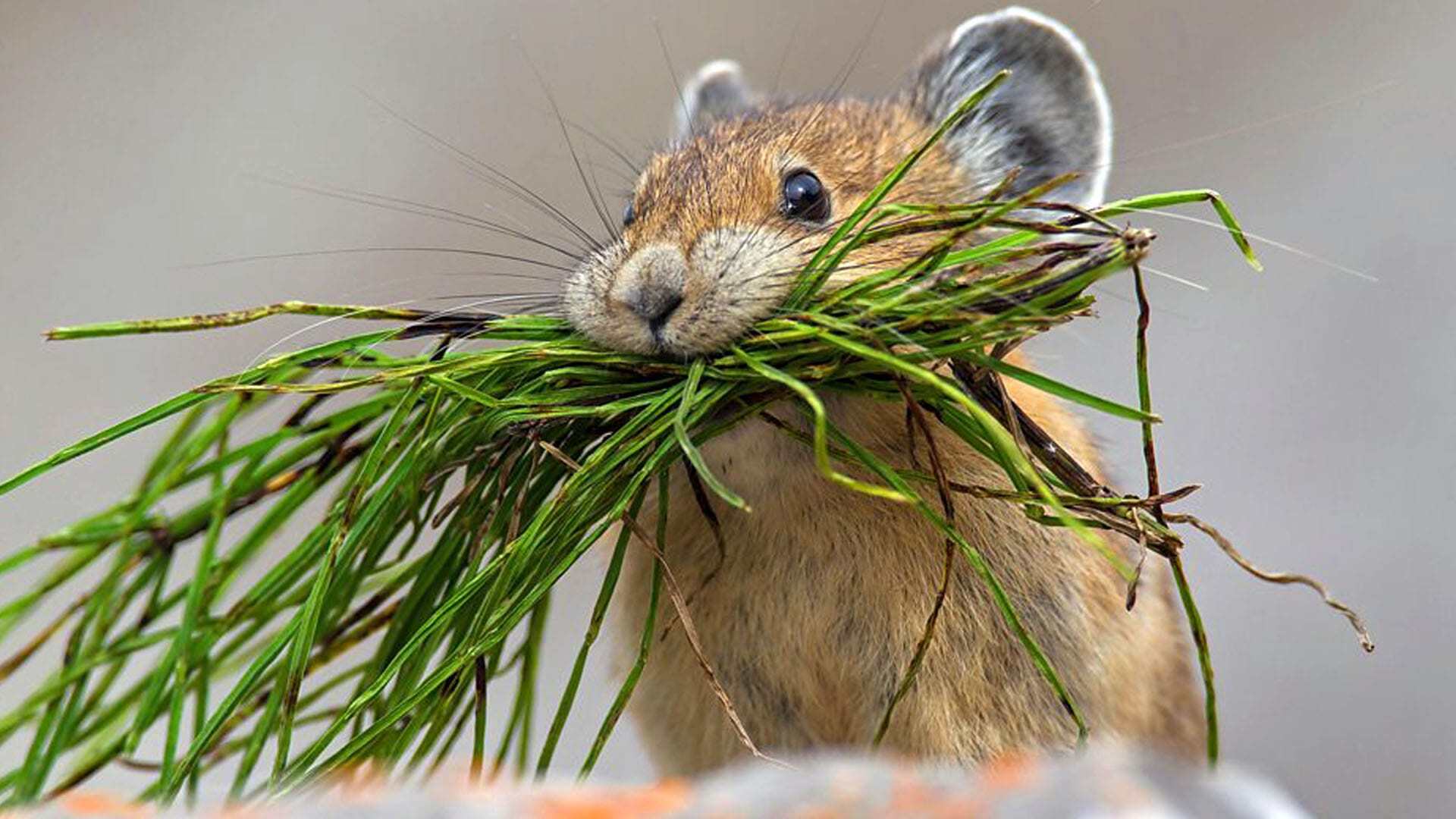 Earths Seasonal Secrets