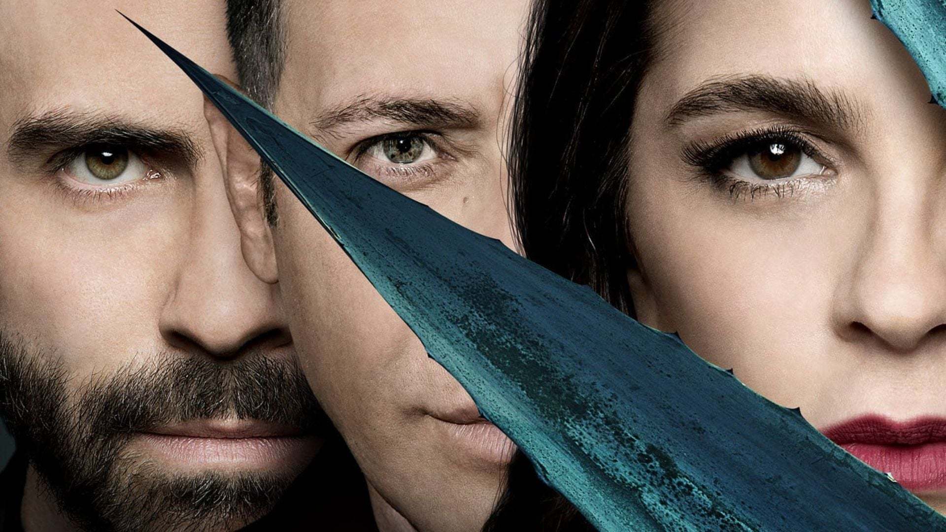 მონარქი  ქართულად -  Monarca