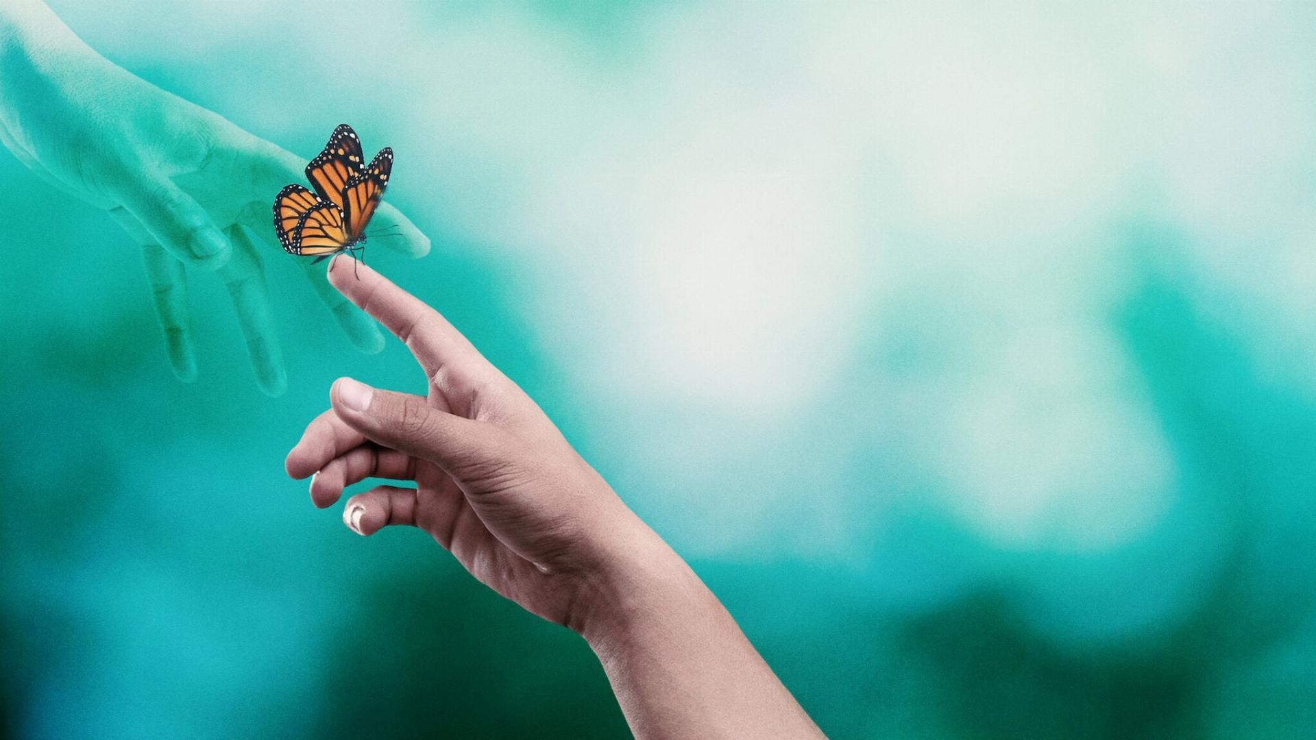 Surviving Death  ქართულად -  Пережить смерть