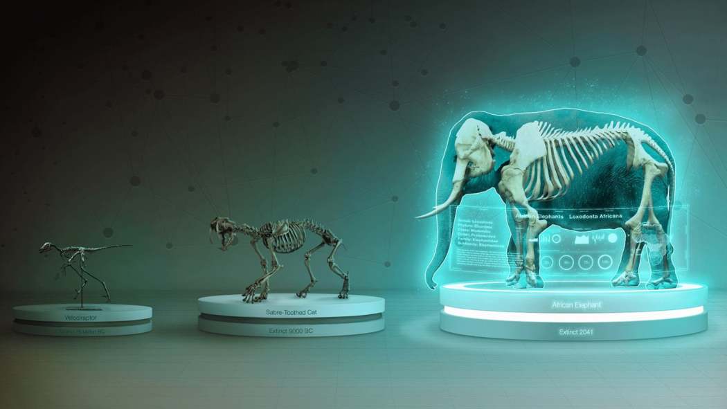 უკანასკნელნი  ქართულად -  Endlings