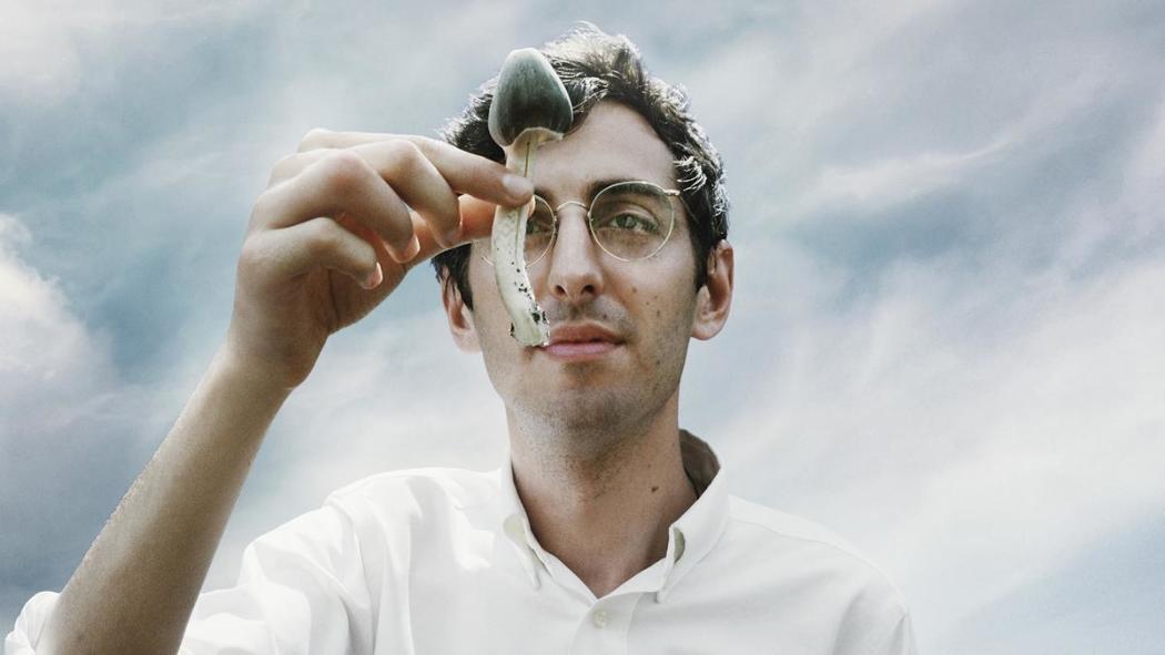 ჰამილტონის ფარმაკოპია  ქართულად -  Hamiltons Pharmacopeia