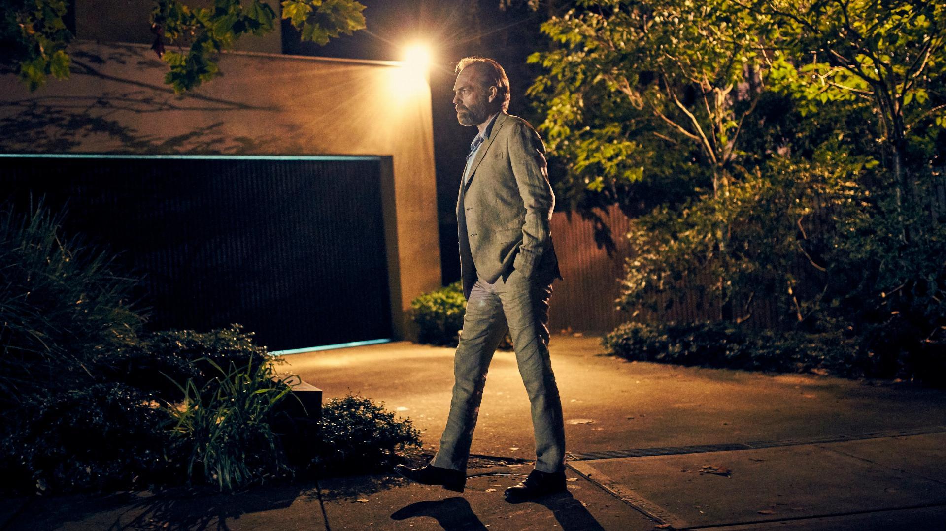 ორაზროვნების შვიდი სახეობა  ქართულად -  Seven Types of Ambiguity