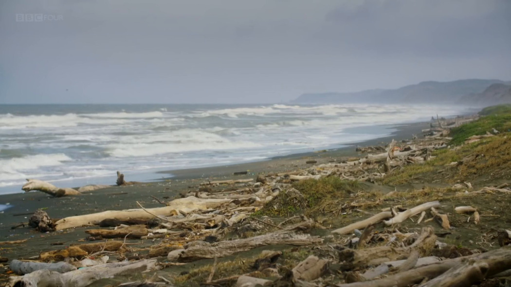 Raiders of the Lost Past with Janina Ramirez