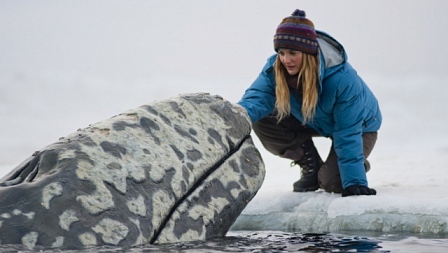 დიდი საოცრება  ქართულად -  Big Miracle